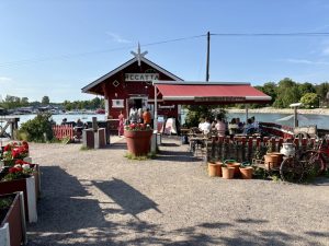Regatta Cafe - polecamy na kawę, kardamonki i kiełbasę Regatta Cafe - polecamy na kawę, kardamonki i kiełbasę