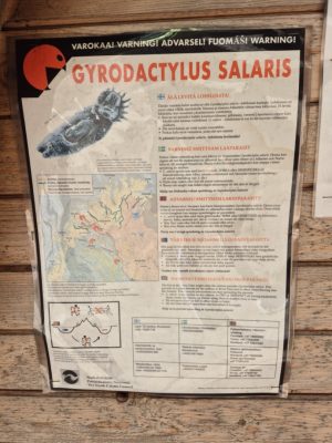 Ostrzeżenie o chorobie łososi Ostrzeżenie o chorobie łososi