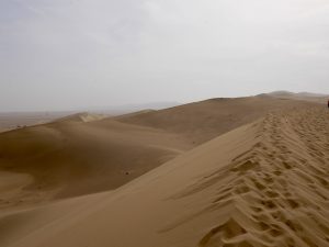 Gobi po horyzont Gobi po horyzont