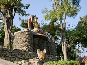 Swayambhunath - małpy można spotkać na każdym kroku Swayambhunath - małpy można spotkać na każdym kroku