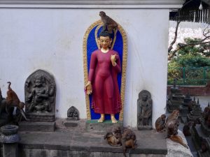 Małpy oblegają większość posągów w Swayambhunath Małpy oblegają większość posągów w Swayambhunath