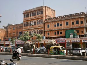 W Indiach drogi są dla wszystkich W Indiach drogi są dla wszystkich