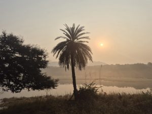 Wschód słońca w Ranthambore Wschód słońca w Ranthambore